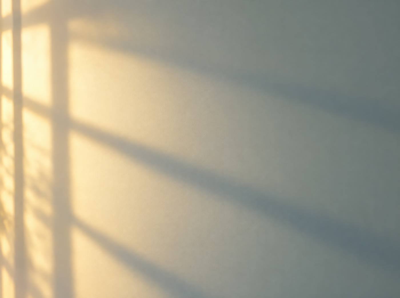 Close-up of a smooth, finished wall in afternoon light